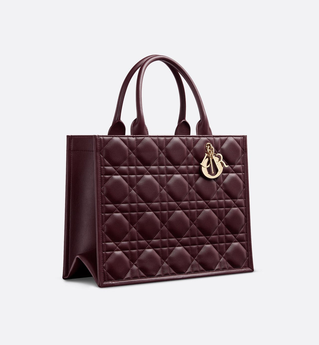 Sac Dior Book Tote Medium