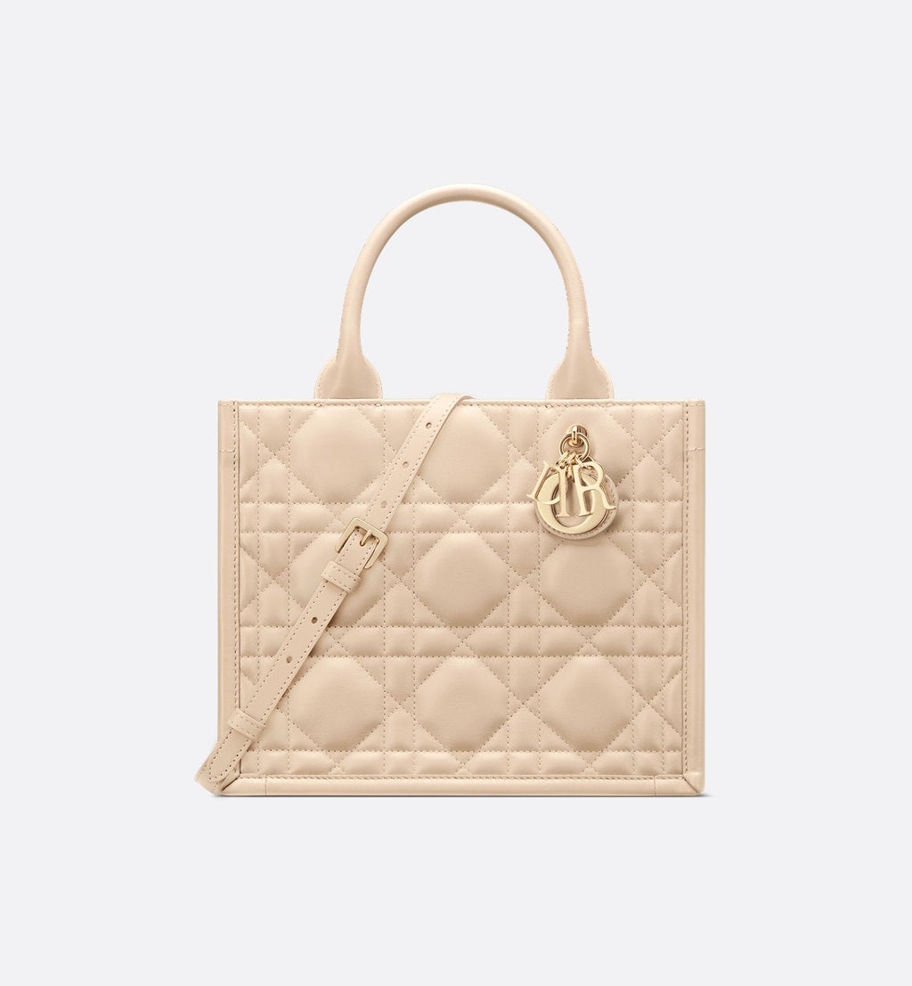 Sac Dior Book Tote Small