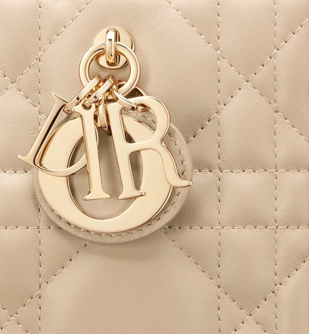 Sac Dior Book Tote Small