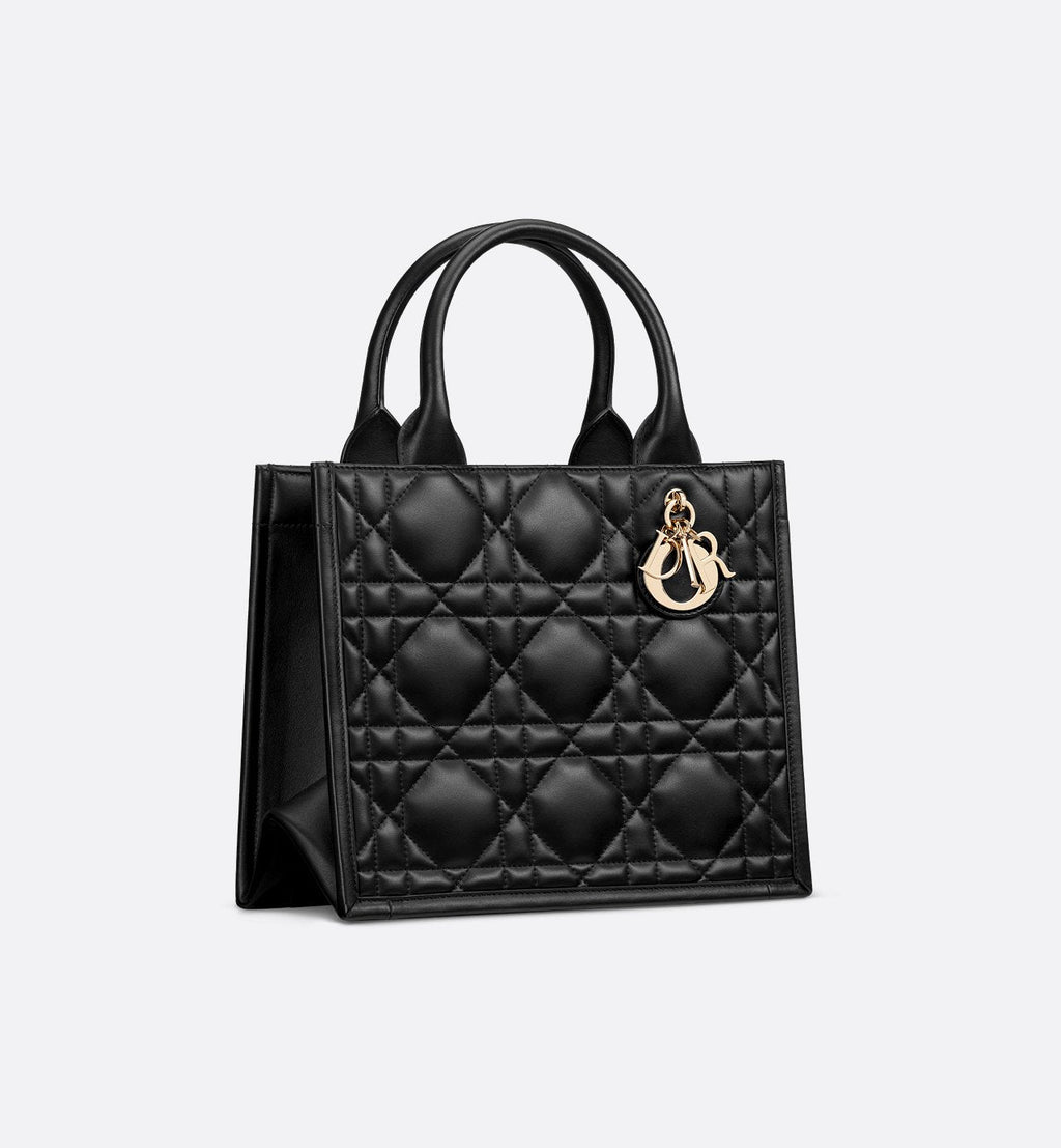 Sac Dior Book Tote Small