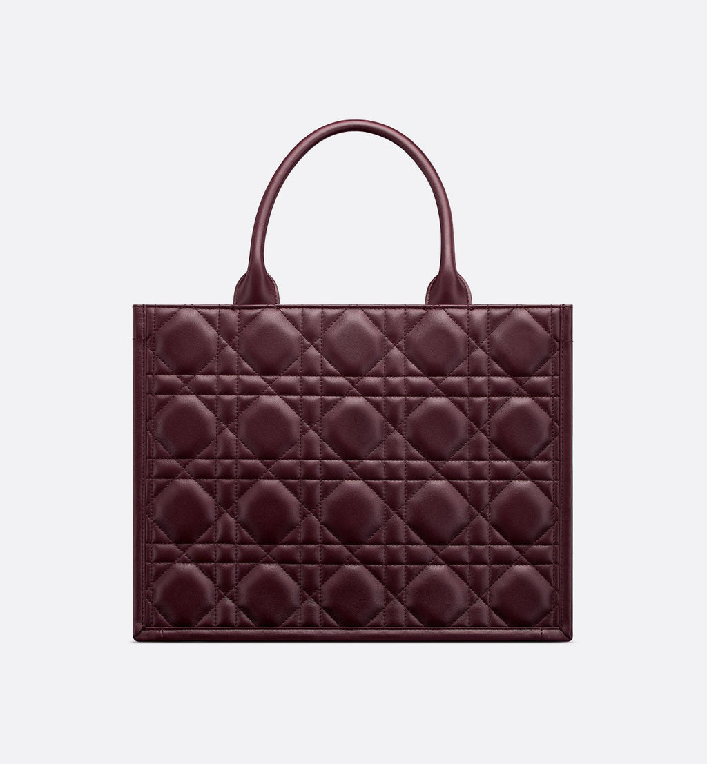 Sac Dior Book Tote Medium