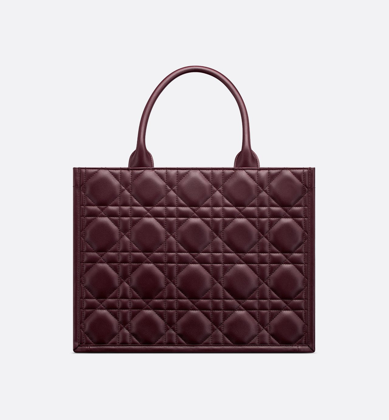 Sac Dior Book Tote Medium