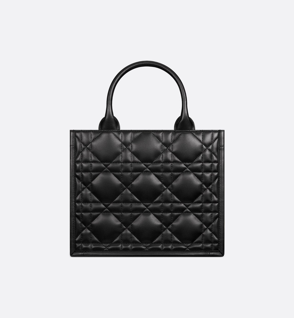 Sac Dior Book Tote Small