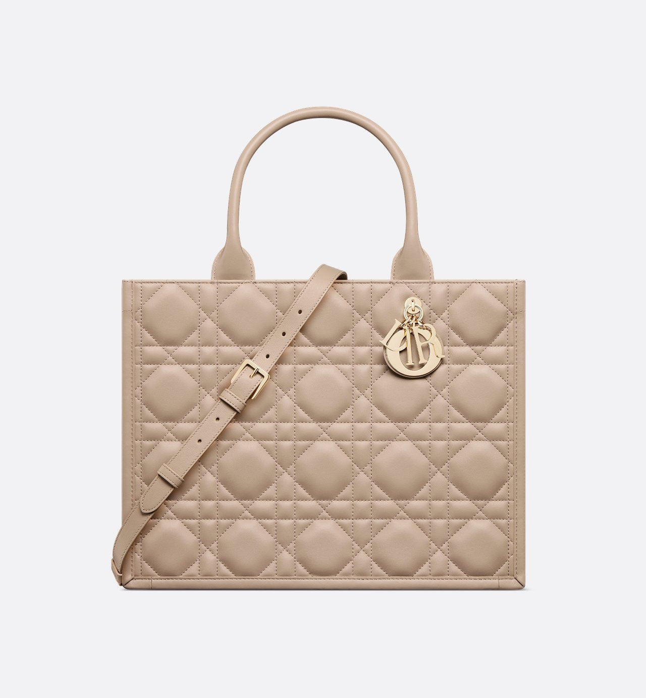 Sac Dior Book Tote Medium