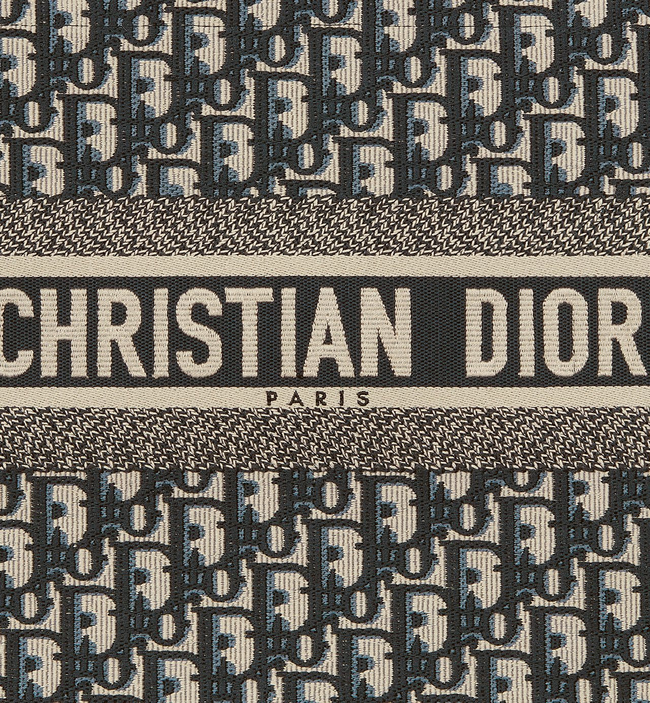 Sac Dior Book Tote Medium