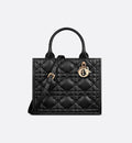 Sac Dior Book Tote Small