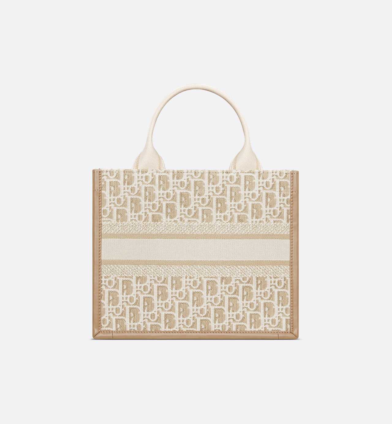 Sac Dior Book Tote Small