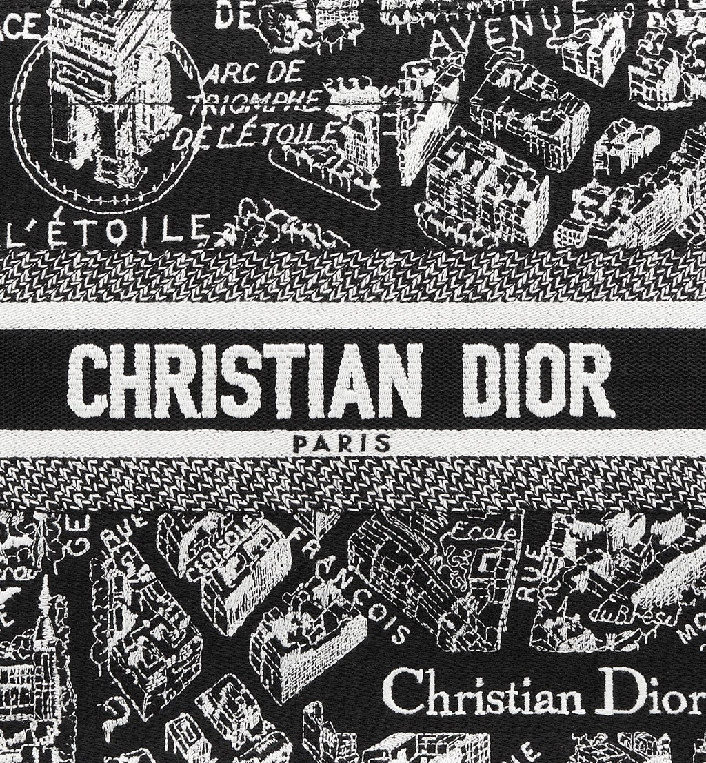 Sac Dior Book Tote Small