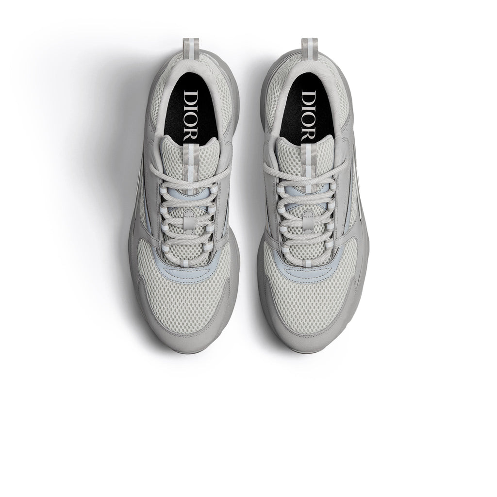 Dior B22 Gris 