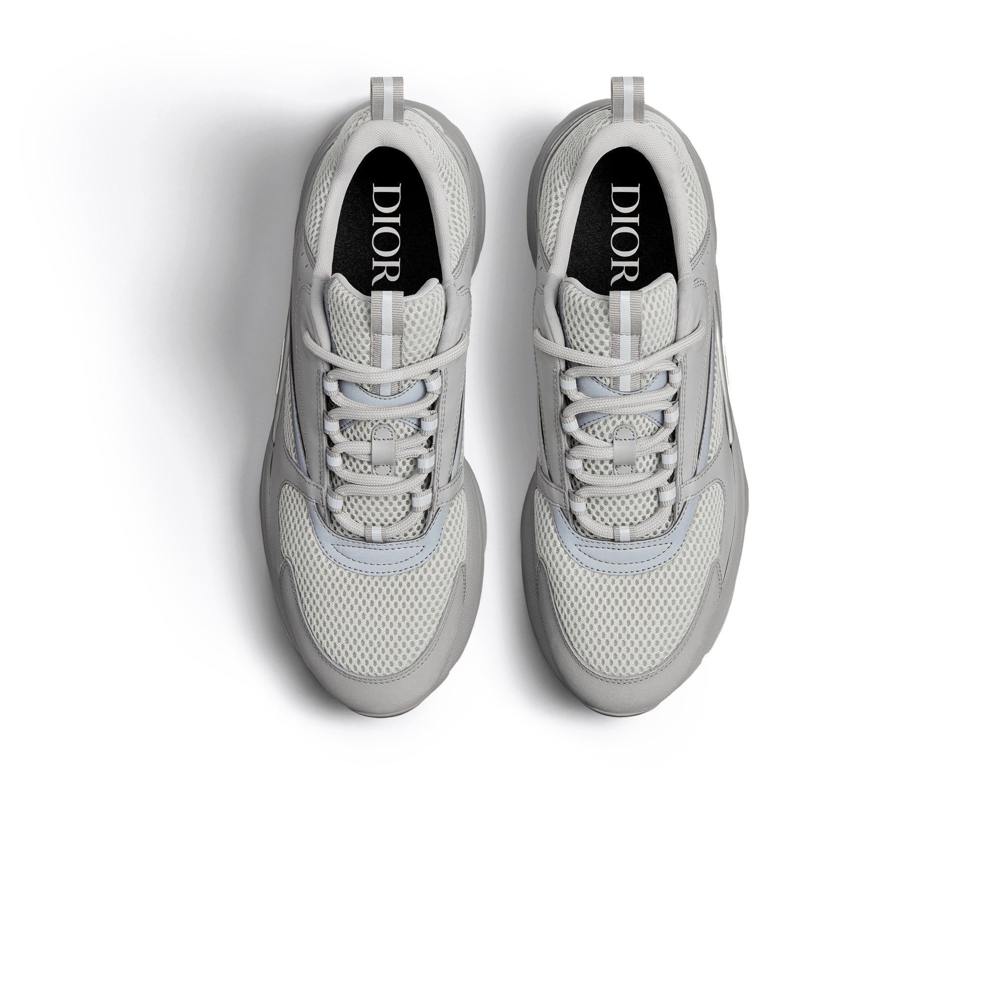 Dior B22 Gris 