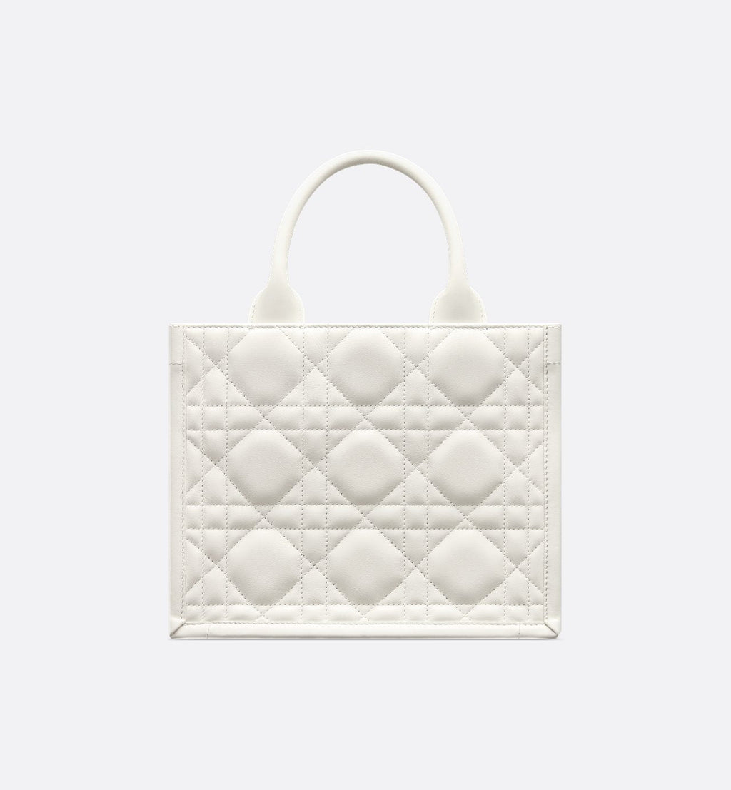 Sac Dior Book Tote Small