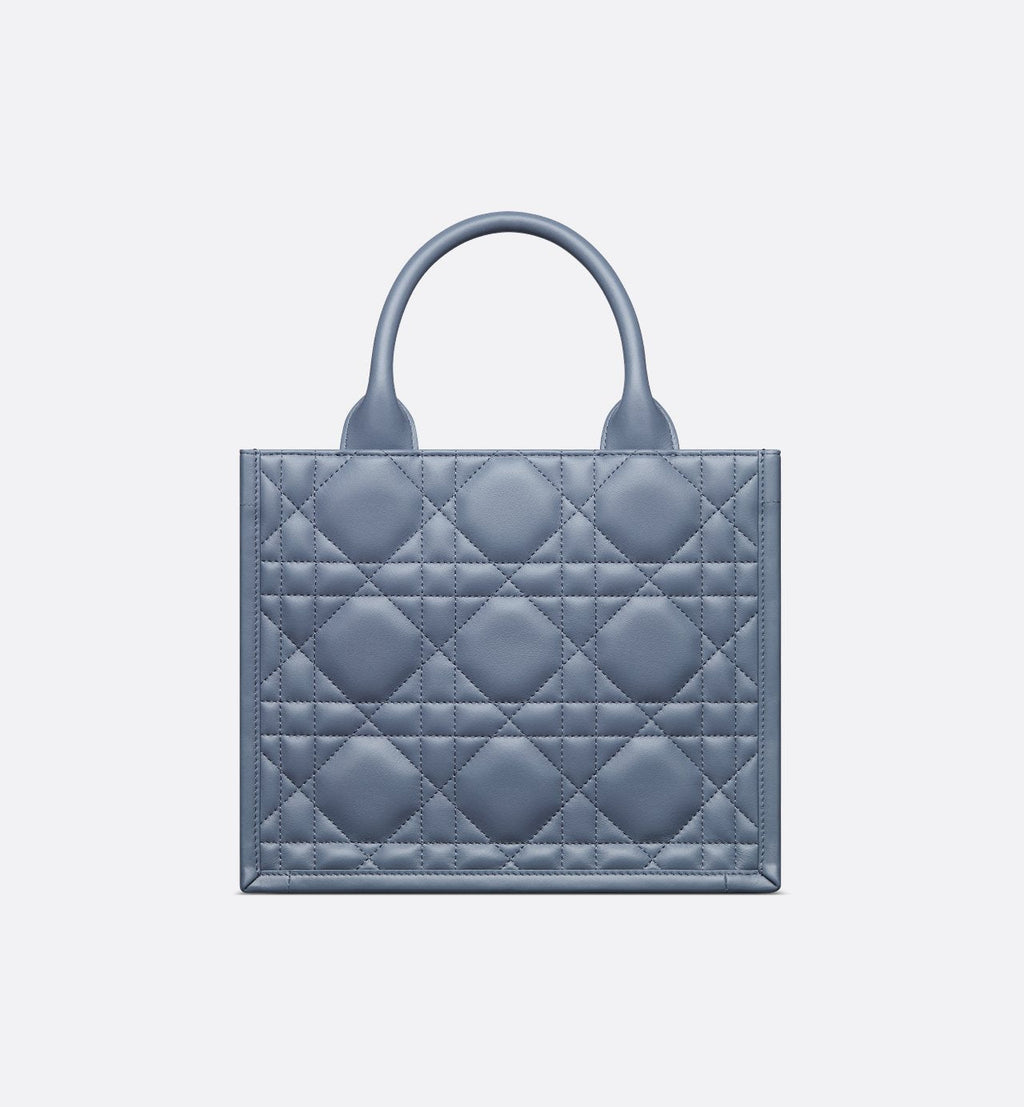 Sac Dior Book Tote Small