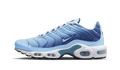 Nike® Air Max Plus Dégradé Bleu Universitaire