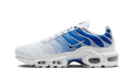Nike® Air Max Plus Bleu Dégradé
