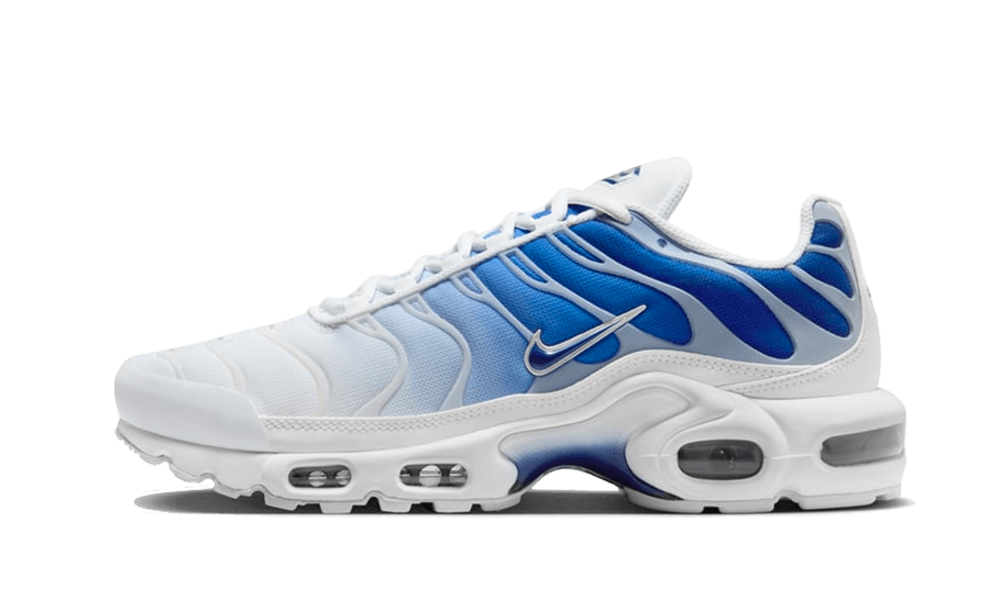 Nike® Air Max Plus Bleu Dégradé