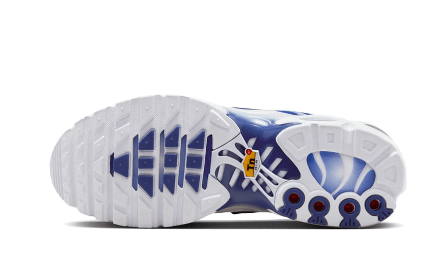 Nike® Air Max Plus Bleu Dégradé