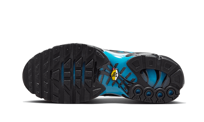 Nike® Air Max Plus Dégradé bleu