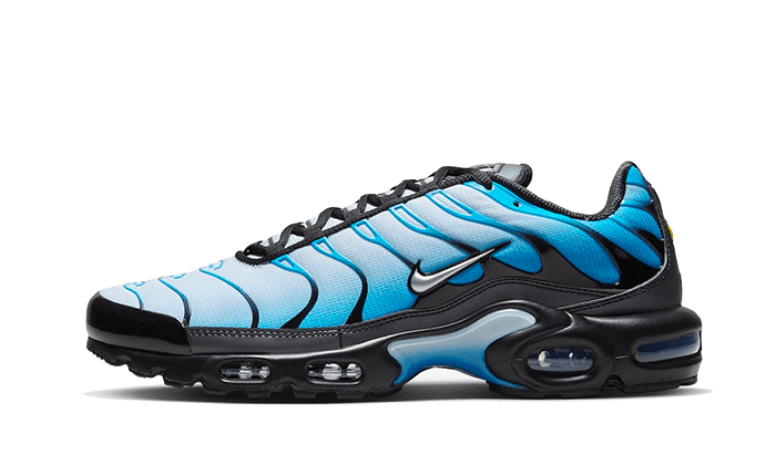 Nike® Air Max Plus Dégradé bleu
