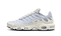 Nike® Air Max Plus Voile Argent Platine Pur