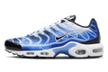 Nike® Air Max Plus Light Photography Old Royal